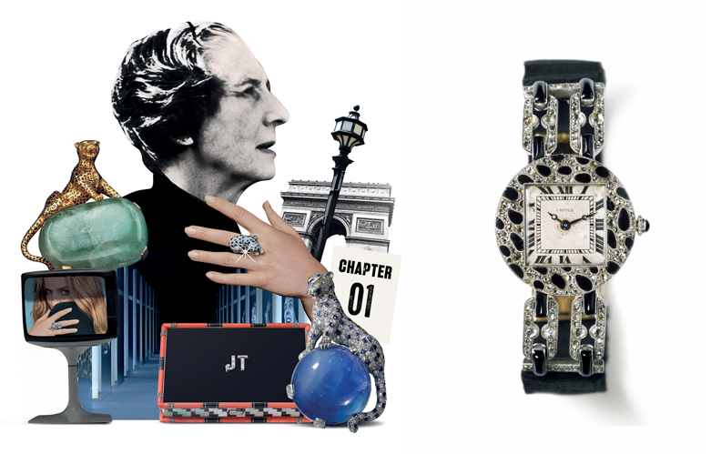 INTO THE WILD豹影迷蹤_img_1