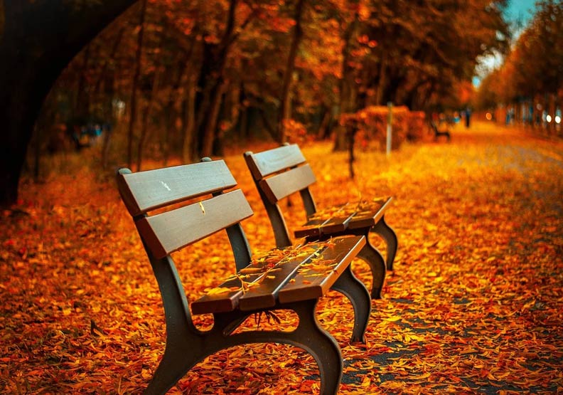 僅為情境配圖。圖片來源：pixabay