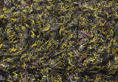 從市值10億美元到一團廢鐵 共享單車泡沫化後中國AI將如何發展？