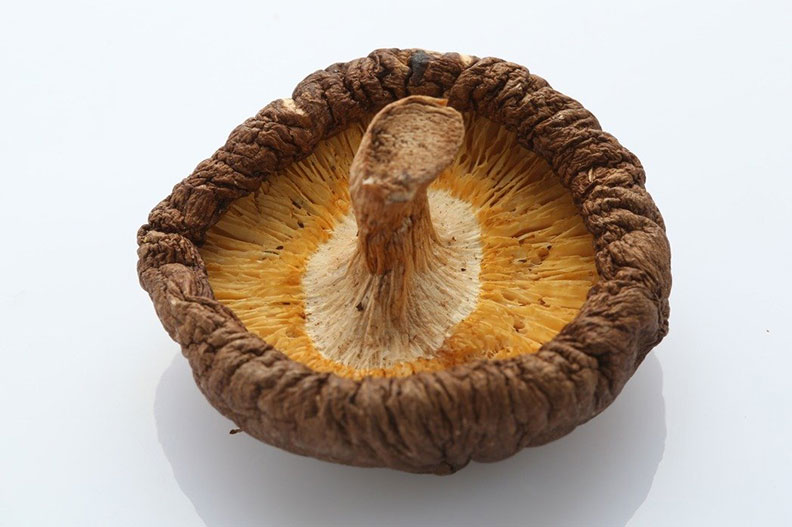 免花大錢就能取得的營養!7 種常見菇類這樣吃_img_1