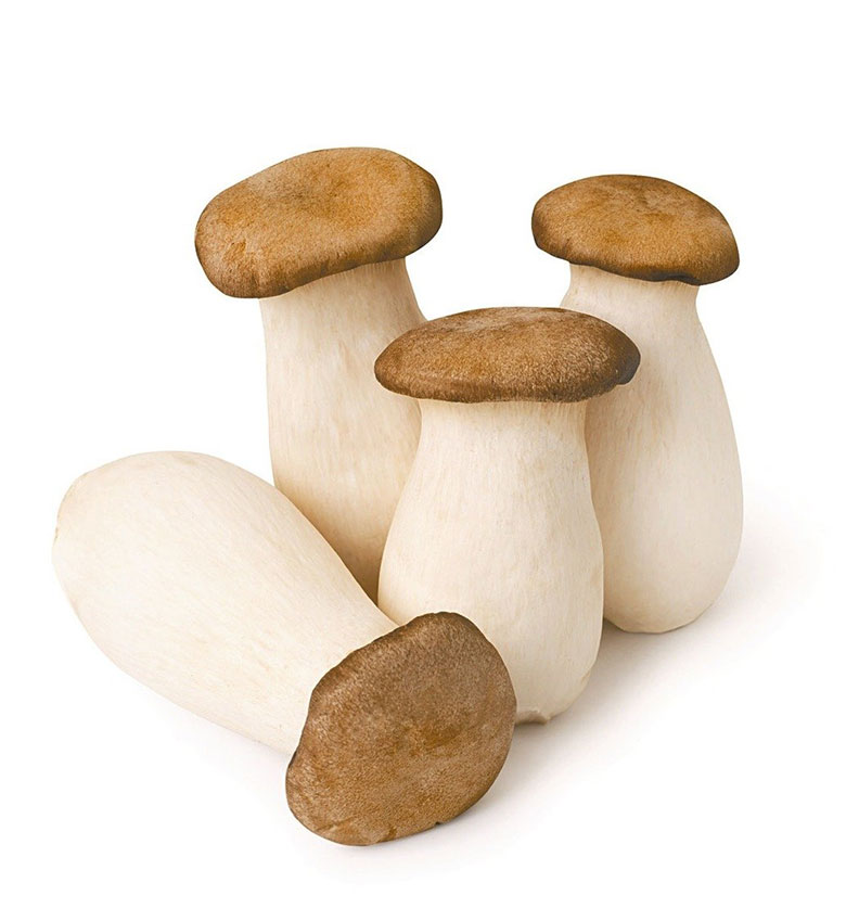 免花大錢就能取得的營養!7 種常見菇類這樣吃_img_3