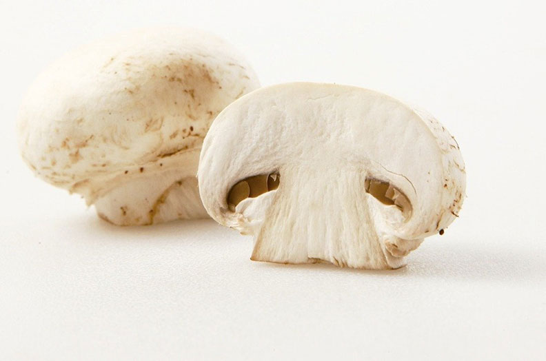 免花大錢就能取得的營養!7 種常見菇類這樣吃_img_4