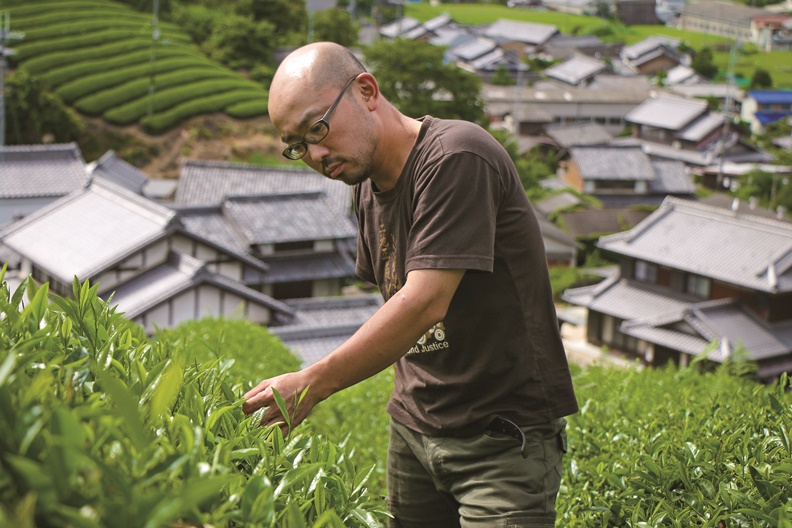 盛產京都宇治的「抹茶之鄉」,自創品牌吸引20萬人潮聖_img_4