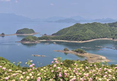 日本長島町「鰤魚獎學金」出奇招 拉青年返鄉創熱潮