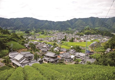 盛產京都宇治的「抹茶之鄉」，自創品牌吸引20萬人潮聖