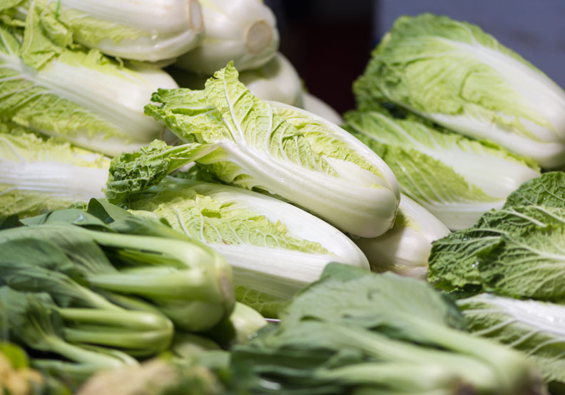 大白菜是超棒的防癌蔬菜 營養專家建議這4 種人都該吃 閱讀 對身體好 健康遠見