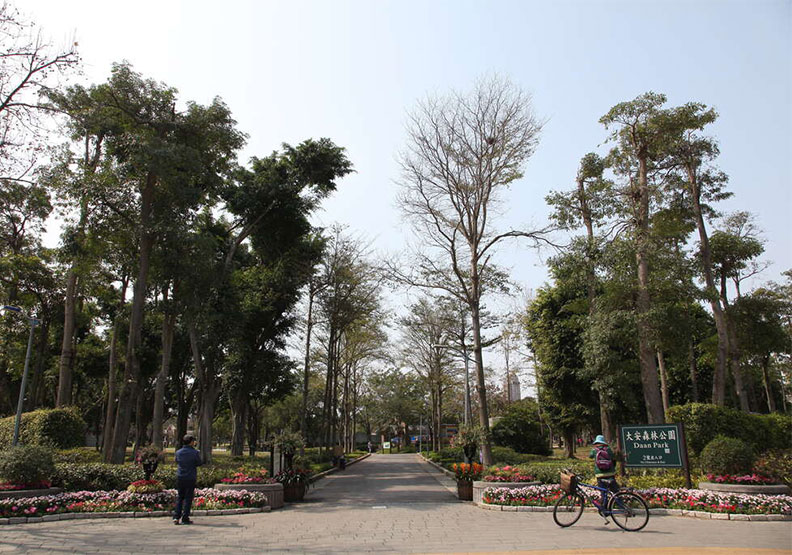 森林 公園
