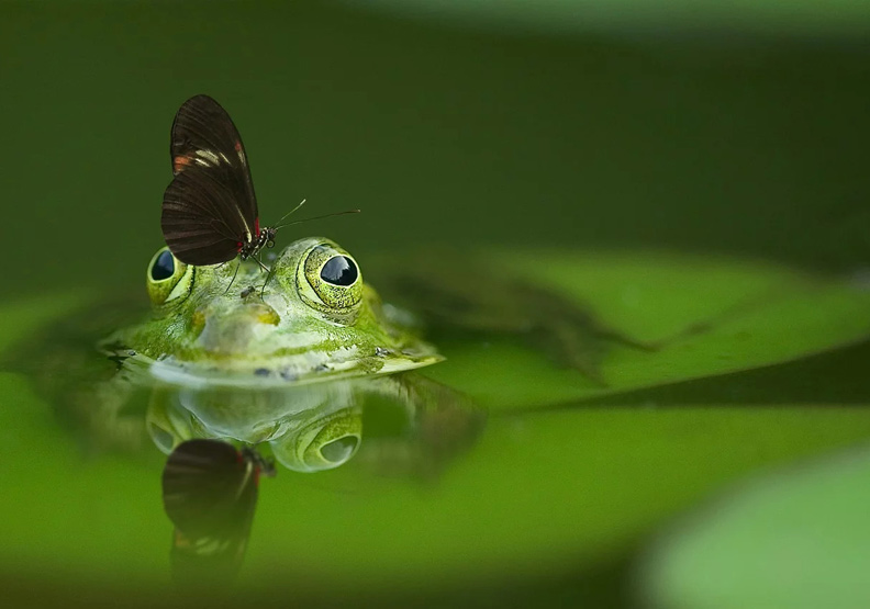 僅為情境配圖。圖片來源：pixabay