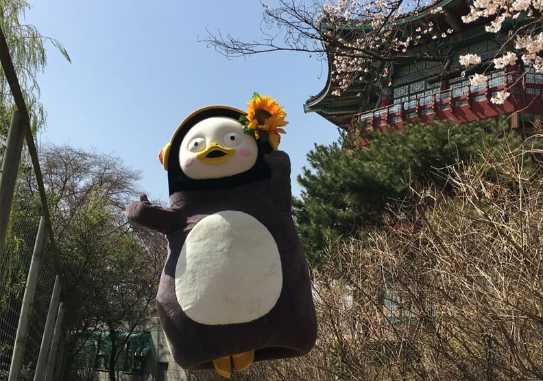 圖／今年在韓國爆紅、聲音像大叔的卡通企鵝Pengsoo（펭수）。取自Pengsoo instagram