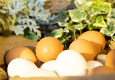 鼎泰豐「蛋炒飯」少了這一顆雞蛋，味道就不對了！