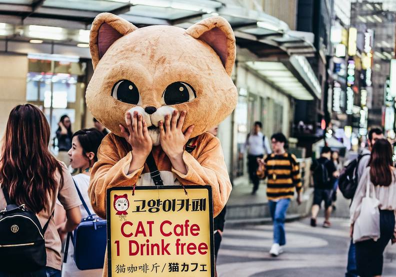 遊韓大禁忌！專家警告：到韓國絕對不能做這5件事_img_1