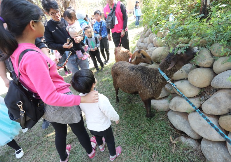83歲新竹動物園重新開張！你所不知道四大改造玄機_img_4