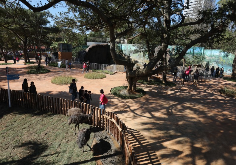 83歲新竹動物園重新開張！你所不知道四大改造玄機_img_3