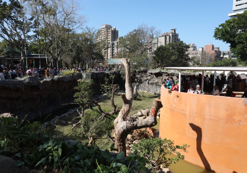 83歲新竹動物園重新開張！你所不知道四大改造玄機_img_7