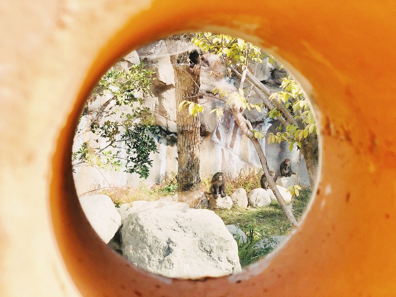 新竹市立動物園重生！最潮設計顛覆你對動物園的想像_img_4