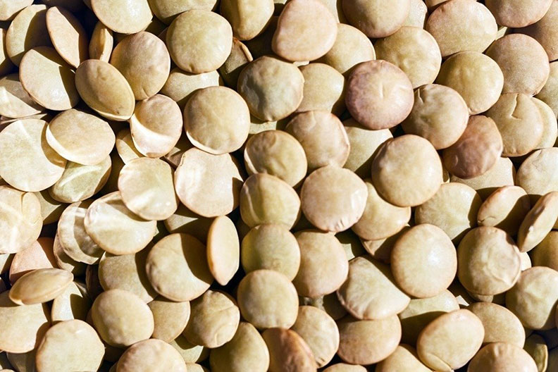 小扁豆+檸檬更年期前後的女性,容易有缺鐵性貧血的問題。