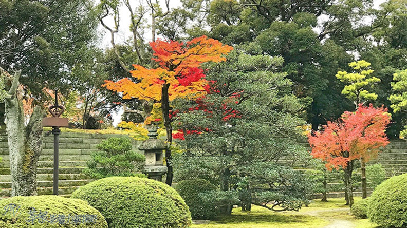 哈日族推薦！京都賞楓祕境，靜謐又古色古香的二條城_img_11