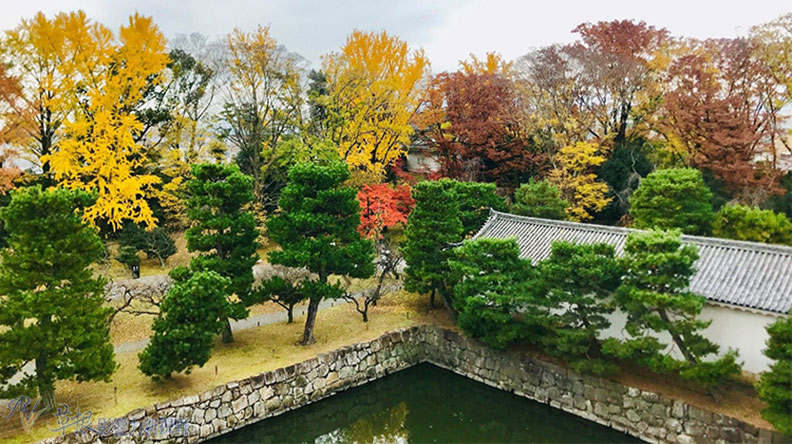 哈日族推薦！京都賞楓祕境，靜謐又古色古香的二條城_img_13