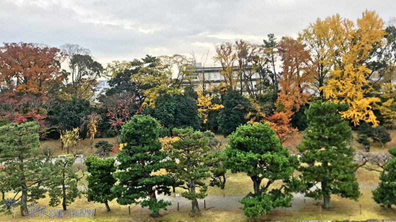 哈日族推薦！京都賞楓祕境，靜謐又古色古香的二條城_img_15