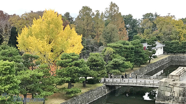 哈日族推薦！京都賞楓祕境，靜謐又古色古香的二條城_img_16