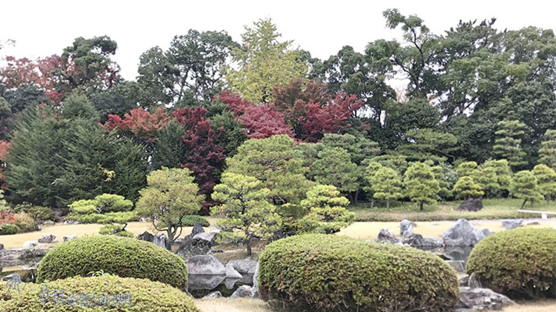哈日族推薦！京都賞楓祕境，靜謐又古色古香的二條城_img_23
