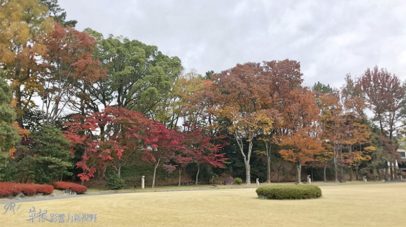 哈日族推薦！京都賞楓祕境，靜謐又古色古香的二條城_img_24