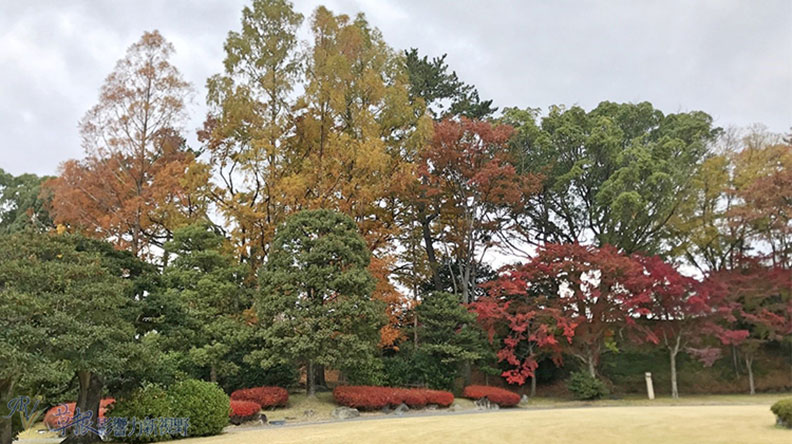 哈日族推薦！京都賞楓祕境，靜謐又古色古香的二條城_img_25