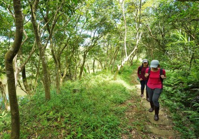 對抗肌少症、防失能，國際醫學期刊：每天走7500步死亡率最低