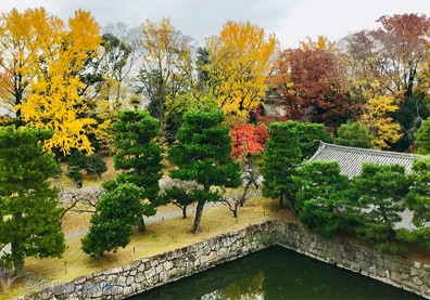 哈日族推薦！京都賞楓祕境，靜謐又古色古香的二條城
