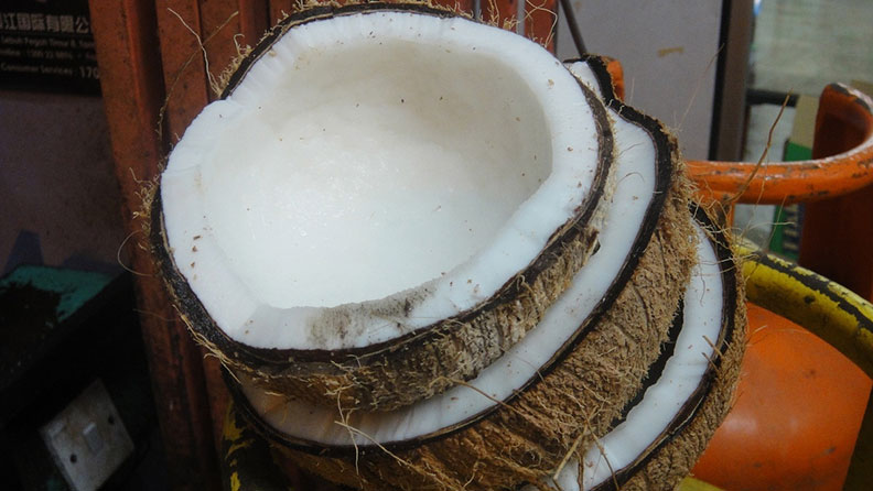 真文化出版提供。