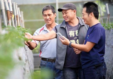 歸鄉 孕育一塊夢田