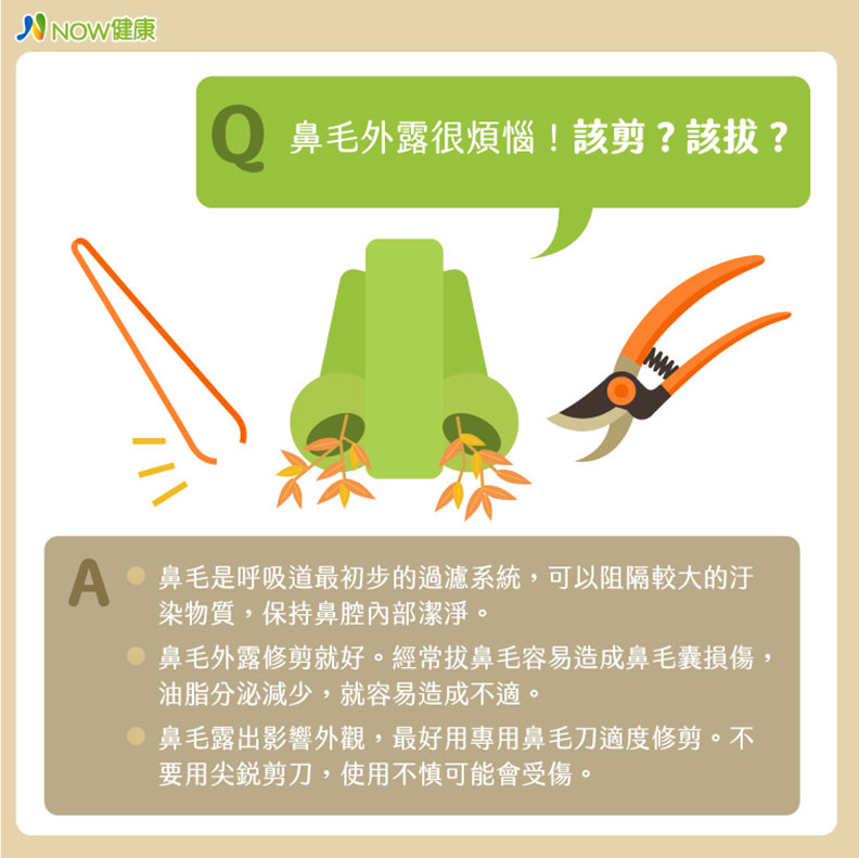 鼻毛該剪?該拔?