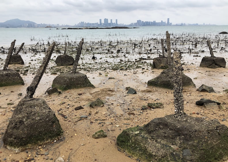 小金門。野島剛提供