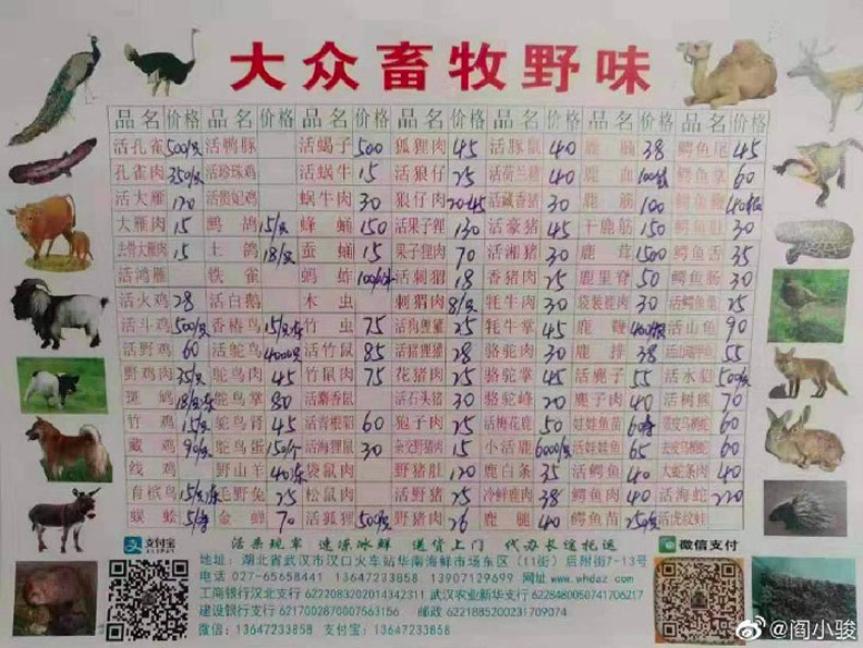 武漢華南海鮮市場東區的「大眾畜牧野味」攤的野味價目表。取自微博