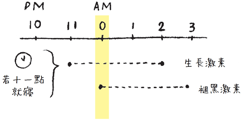 半夜12點到凌晨3點是褪黑激素分泌的高峰期。