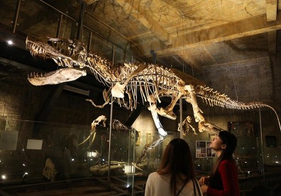 探訪宜蘭祕境 山海港澳灣玩出新意