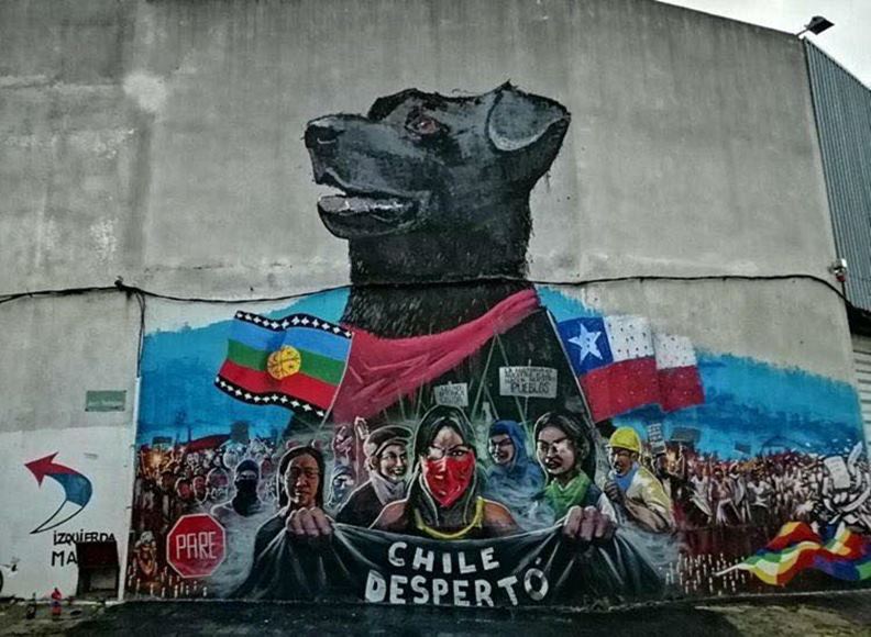 過去參與多次示威運動的黑狗,如今成為智利民眾的反政府意象之一。(圖片提供:Sebastián Rueda)