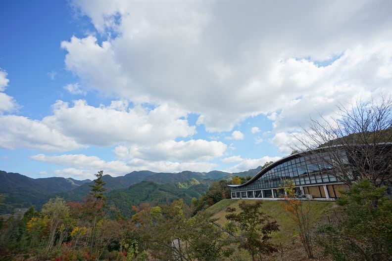 結合觀星與茶文化的星野村。