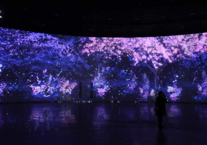 「環˙台中光影燈區」,櫻花投影。