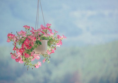 論及婚嫁卻有意外轉折…她發現生活中的另一種可能與美好