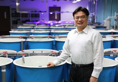 結合AI、物聯網 水產養殖再升級