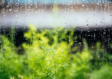 節氣「雨水」該怎麼應對？藏族醫師從生活 5 面向保養身心