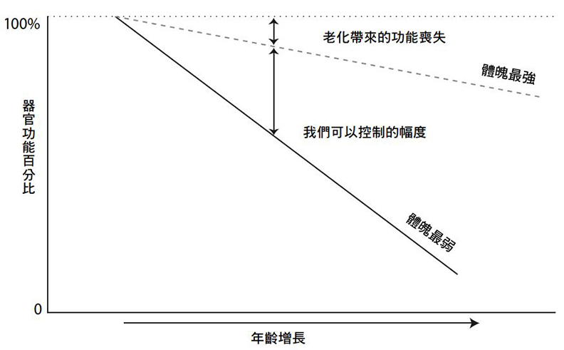 年齡增長對於器官功能的影響。上方的線代表理論上器官於一生中的最大潛能,下方的線代表身體從未接受鍛鍊情況下的衰退速度,這兩條線隨著時間推移而背離,這個事實點出了重要的結論;天下文化提供。資料來源:M. E. Williams,“Clinical Implications of Aging Physiology,”American Journal of Medicine 76, no. 6 (1984): 1049–54