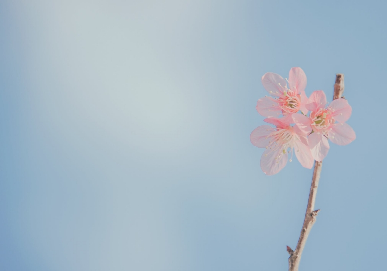 僅為情境配圖。圖片來源：pexels