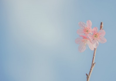 「可以告訴我還剩多少時間能完成心願嗎？」從容離世前的3個準備