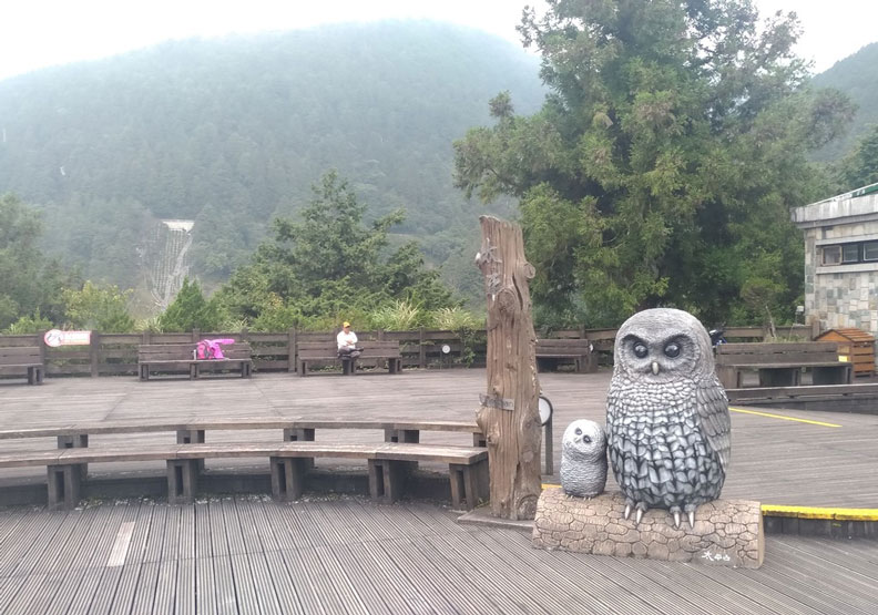 太平山莊服務站廣場的灰林鴞大型公仔。林務局羅東林區管理處提供