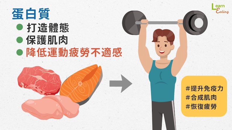 蛋白質打造體態、保護肌肉,降低運動疲勞不適感。