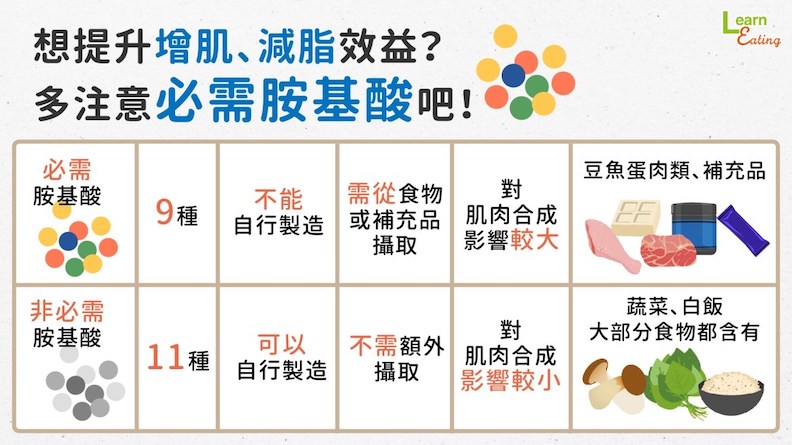 想提升增肌、減脂效益?多注意必需胺基酸吧。