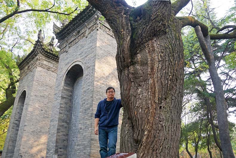在西安小雁塔寺,王浩一與千年槐樹合影。