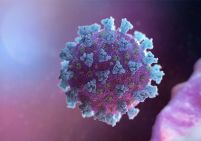 誰「養」出世紀超級病毒？